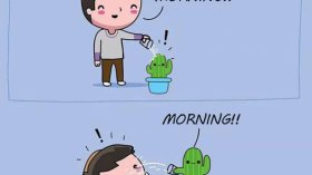 Dejte si bacha, když budete každý den budit kaktus