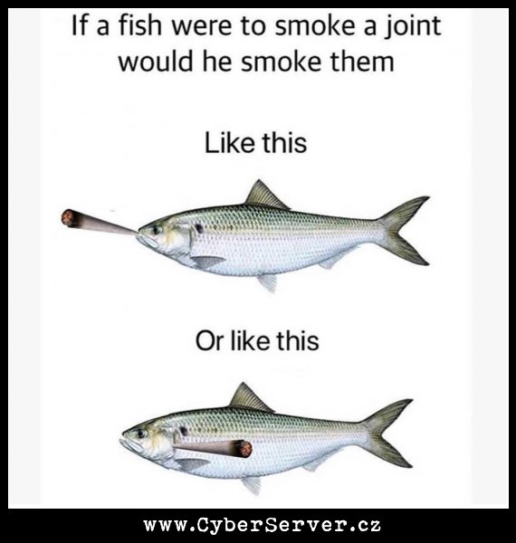 Jak ryba kouří?
