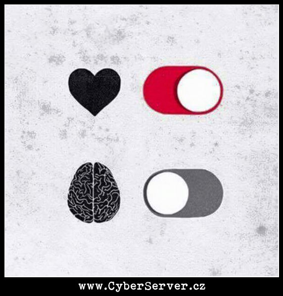 Srdce vs mozek