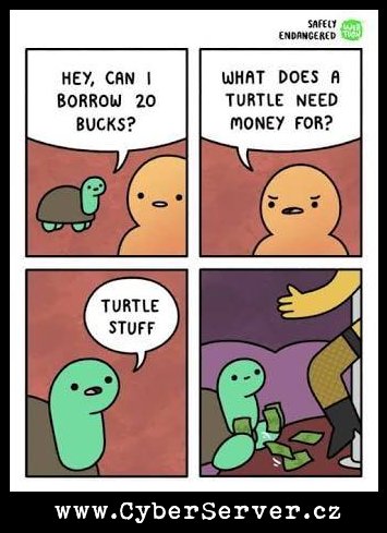 Želva potřebuje peníze