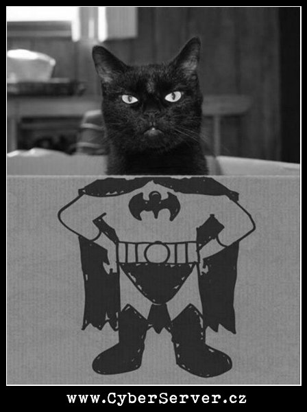 Kočka Batman